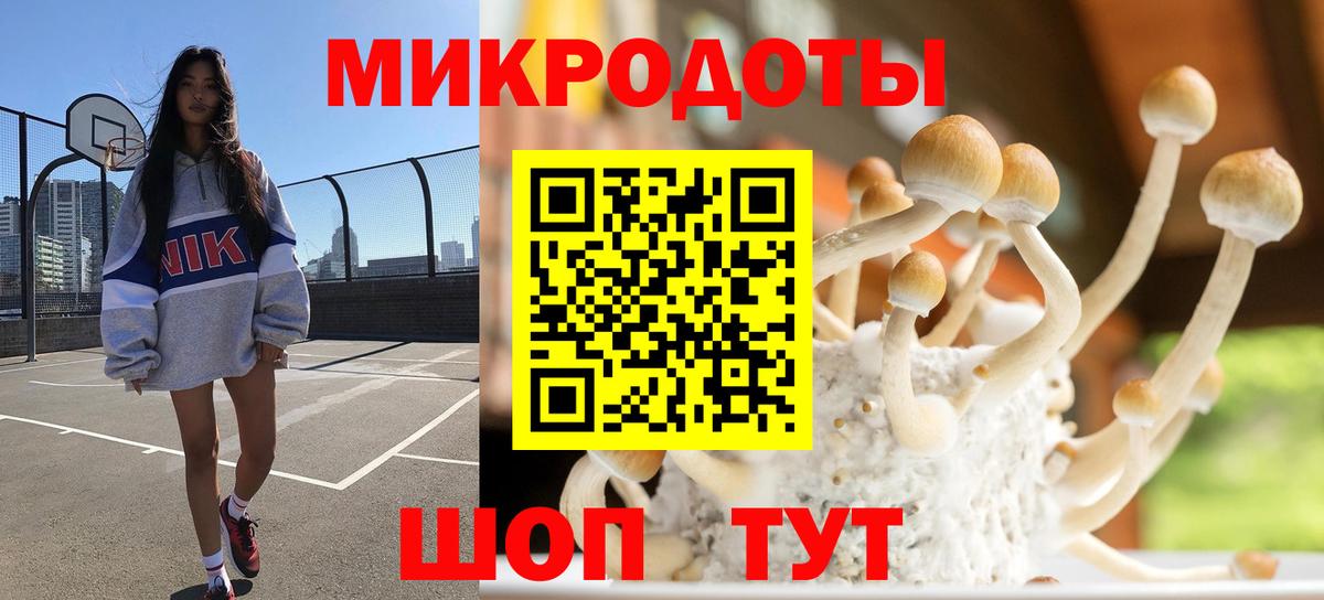Избербаш  Псилоцибиновые грибы GOLDEN TEACHER  Вход с VPN 