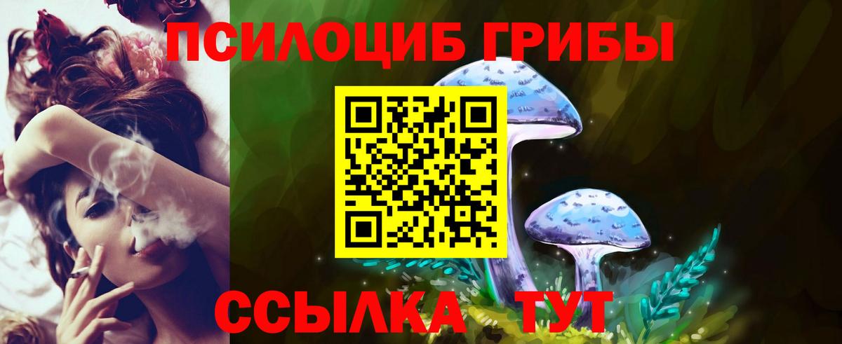 Галлюциногенные грибы Cubensis Избербаш